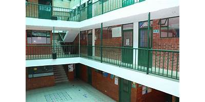 COLEGIO LEV VYGOTSKY