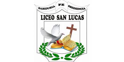 COLEGIO LICEO SAN LUCAS