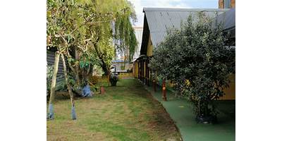 COLEGIO LOS SAUCES