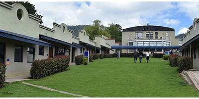 COLEGIO LOS TREBOLES