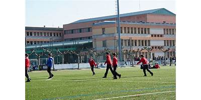 COLEGIO LUIS AMIGO