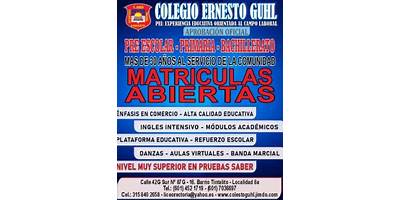 COLEGIO MAYOR CREATIVISTA