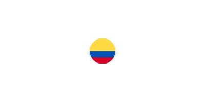 COLEGIO METODISTA DE COLOMBIA