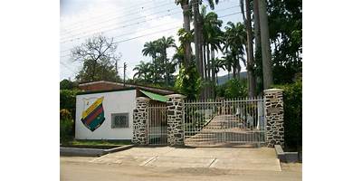 COLEGIO MI DIVINO NIÑO