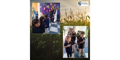 COLEGIO MIXTO LA ESPERANZA