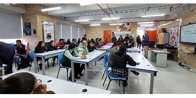COLEGIO NUEVA CONSTITUCION (IED)