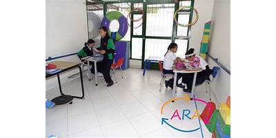 COLEGIO PENSAR ANDINO