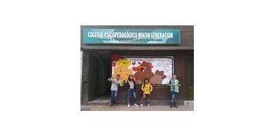 COLEGIO PSICOPEDAGOGICO NUEVA GENERACION