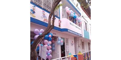 COLEGIO PSICOPEDAGÓGICO SURAMERICANO