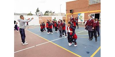 COLEGIO RUFINO JOSE CUERVO (IED)
