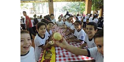 COLEGIO SANTA TERESITA DEL NIÑO JESUS