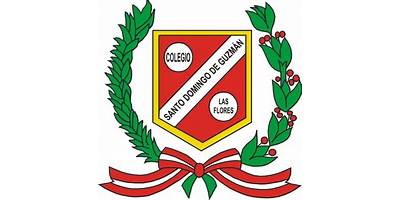 COLEGIO SANTO DOMINGO DE GUZMAN