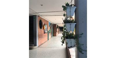 COLEGIO SOTAVENTO (IED)