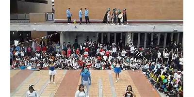 COLEGIO VIRGINIA GUTIERREZ DE PINEDA (IED)