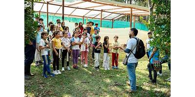COLEGIO WALDORF ISOLDA ECHAVARRIA