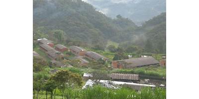 CONCENTRACION DE DESARROLLO RURAL