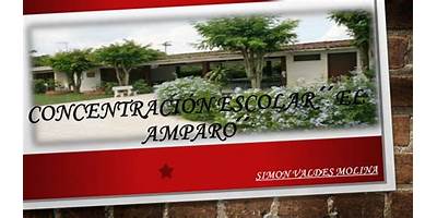 CONCENTRACION ESCOLAR EL AMPARO