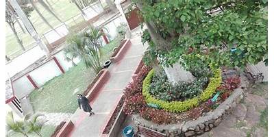 ESCUELA NORMAL SUPERIOR MARIA AUXILIADORA