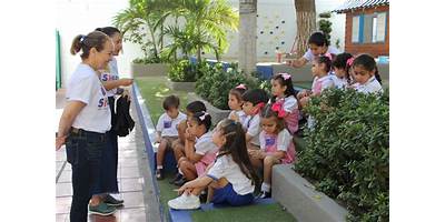 FUND ANDINA PARA LA EDUCACION Y PROTECCION DE LA INFANCIA