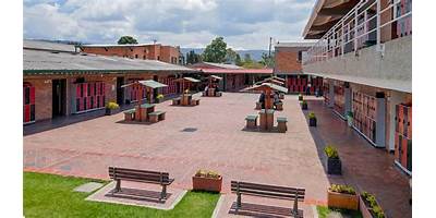 FUNDACION COLEGIO EMILIO VALENZUELA