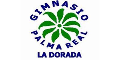 GIMNASIO PALMA REAL