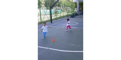 GIMNASIO PEDAGOGIGO GARDNER