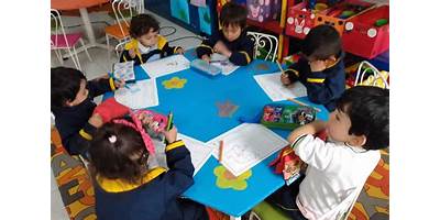 GIMNASIO PSICOPEDAGOGICO LA ALEGRIA DEL SABER