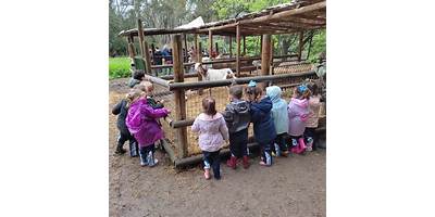 GRANJA ESCUELA LECHE Y MIEL SAS