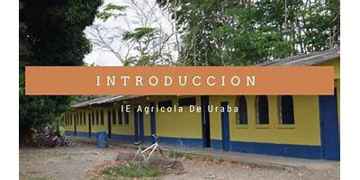 I. E. AGRICOLA DE URABA