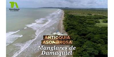 I. E. R. EL FILO DE DAMAQUIEL