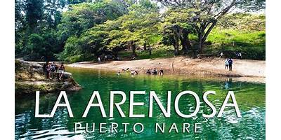 I. E. R. LA ARENOSA