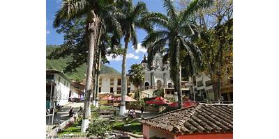 I. E. SAN ANDRES