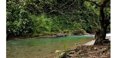 IE AGROAMBIENTAL PIO XII