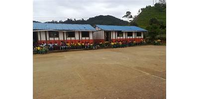 IE COLEGIO ETNOEDUCATIVO EMBERA CHAMI