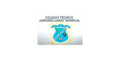 IE COLEGIO TECNICO AGROPECUARIO TAPARCAL