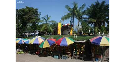 I.E. FRANCISCO DE ORELLANA