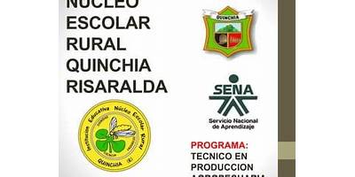 IE NUCLEO ESCOLAR RURAL