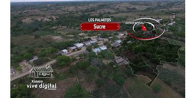 I.E. PALMAS DE VINO