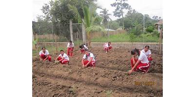 I.E. SAN JOSE DE MULATOS