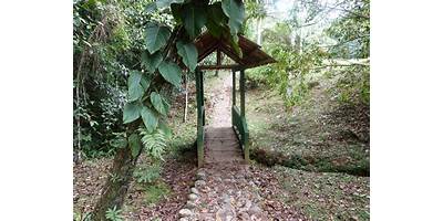 IER ABORIGENES DE COLOMBIA