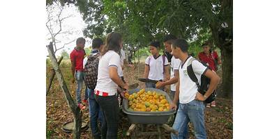 I.E.T. AGRO ANIBAL GANDARA CAMPO