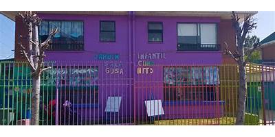 INST DOC GUSANITO MEDIDOR