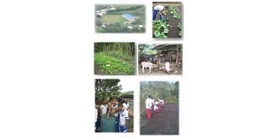 INSTITUCION EDUCATIVA AGROPECUARIA EL EJIDO