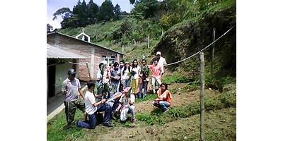 INSTITUCION EDUCATIVA ALTO NUBIA