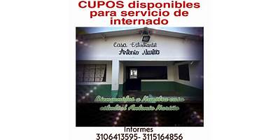 INSTITUCION EDUCATIVA ANTONIO NARIÑO