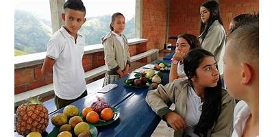 INSTITUCION EDUCATIVA CAMILO OLIMPO CARDONA