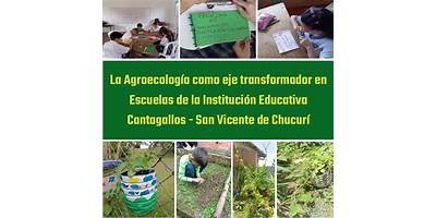 INSTITUCIÓN EDUCATIVA CANTAGALLOS