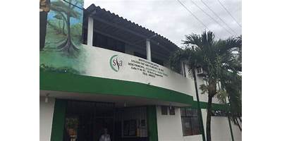 INSTITUCION EDUCATIVA COLEGIO DEPARTAMENTAL SAN FRANCISCO DE ASIS
