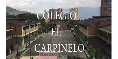 INSTITUCION EDUCATIVA COLEGIO EL CARPINELO