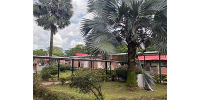 INSTITUCION EDUCATIVA COLEGIO GUILLERMO NIÑO MEDINA